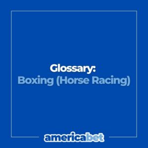 boxing horse racing